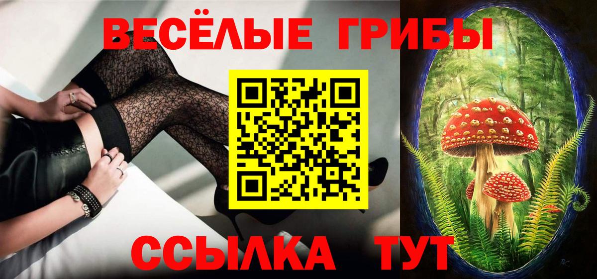 Галлюциногенные грибы мухоморы  Псилоцибиновые грибы ЛСД  Петропавловск-Камчатский  Вход с VPN 