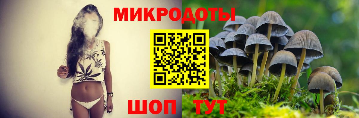 Галлюциногенные грибы мухоморы Петропавловск-Камчатский